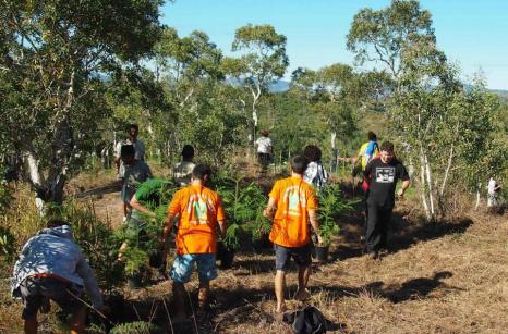 Action de reboisement